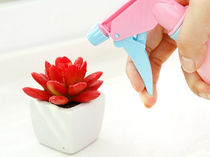 Kasvien ja kukkien ruiskuttaminen kosteuttamaan