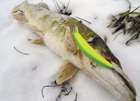 Wobblers για χειμερινό ψάρεμα Wobblers για χειμερινό ψάρεμα για ζάντερ και λούτσο