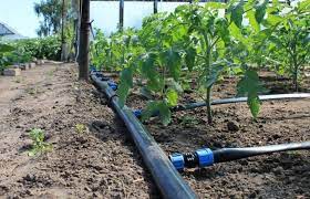 كل شيء للري بالتنقيط - للشراء بسرعة وسهولة