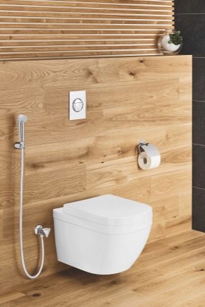 كل شيء عن الحمامات الصحية من جروهي