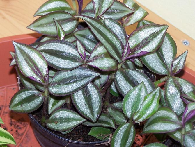 نصائح وحيل لاختيار المكان المناسب ودرجة الحرارة المثلى