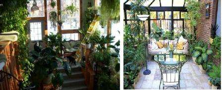 Zimnú záhradu je možné založiť v akejkoľvek oblasti za akéhokoľvek svetla. Hlavnou vecou je starať sa o rastliny s láskou a budú reagovať bohatým kvitnutím.