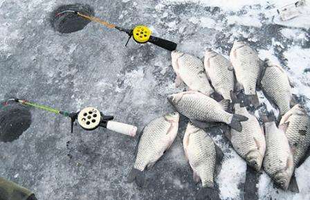 Χειμερινό ψάρεμα: πιάνουμε σταυρό κυπρίνο με μια κούπα